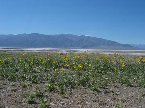 Photo 14 from Death Valley, 2005