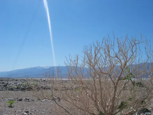 Photo 22 from Death Valley, 2005