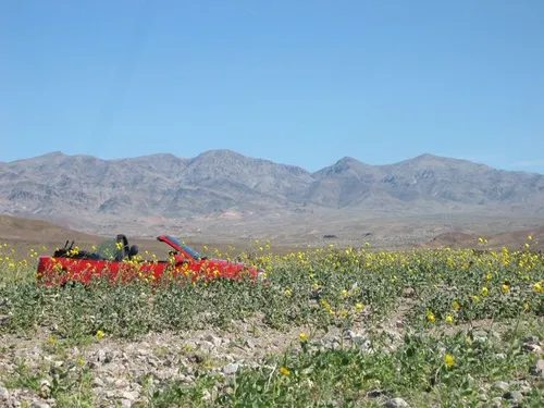 Photo 26 from Death Valley, 2005