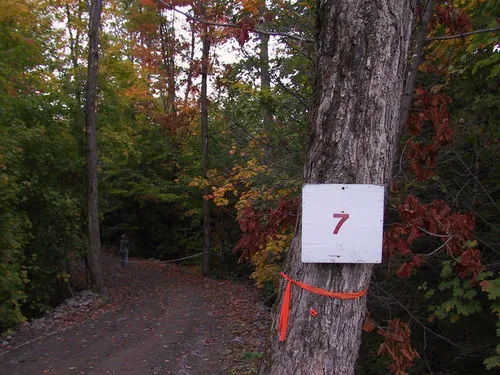 Photo 73 from Fall, 2002