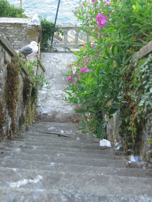 Photo 13 from Alcatraz, Aug 2005
