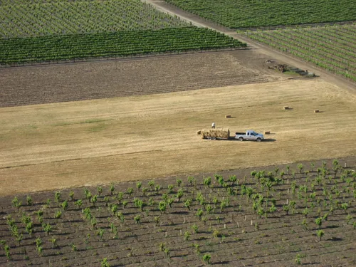 Photo 74 from Ballooning, May 2006