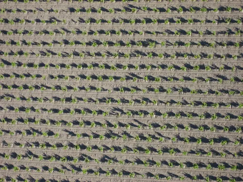 Photo 75 from Ballooning, May 2006