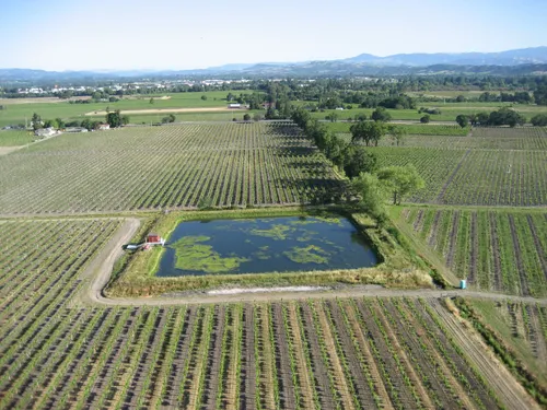 Photo 81 from Ballooning, May 2006