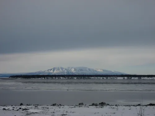 Photo 2 from Flickr, Feb–Mar 2008