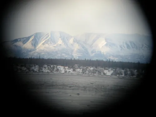 Photo 16 from Flickr, Feb–Mar 2008