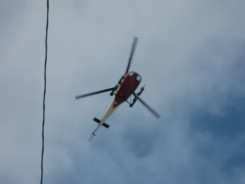 Photo 141 from Flickr, Feb–Mar 2008
