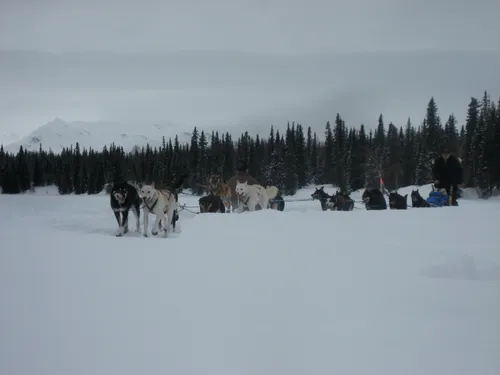 Photo 642 from Flickr, Feb–Mar 2008