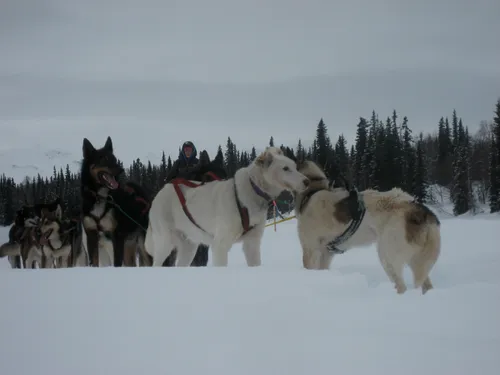 Photo 650 from Flickr, Feb–Mar 2008