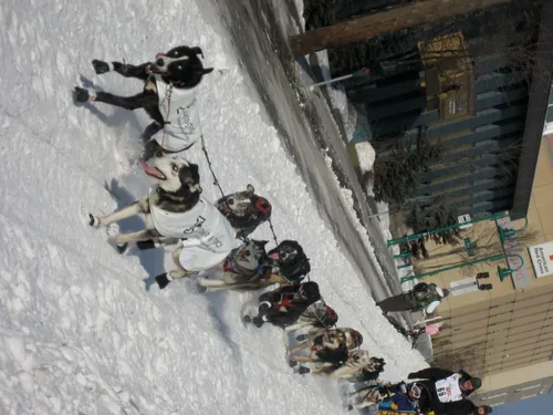 Photo 260 from Flickr, Feb–Mar 2008