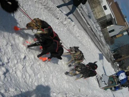 Photo 263 from Flickr, Feb–Mar 2008