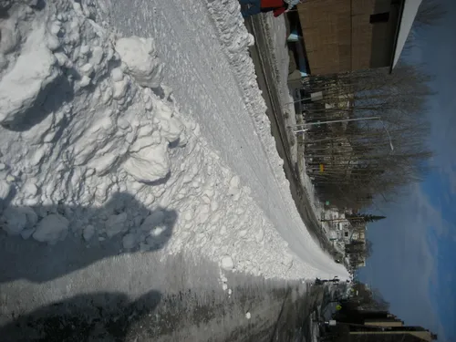 Photo 287 from Flickr, Feb–Mar 2008