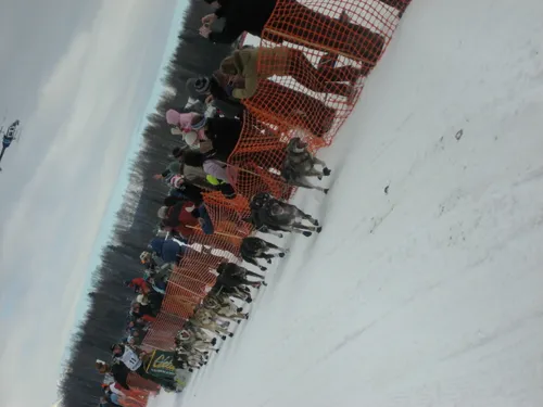 Photo 562 from Flickr, Feb–Mar 2008