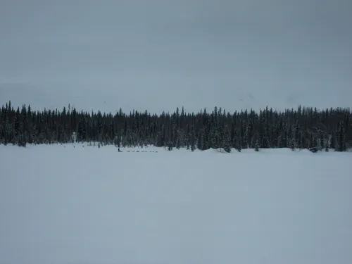 Photo 698 from Flickr, Feb–Mar 2008