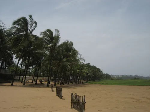 Photo 337 from India Goa, Aug–Sep 2007