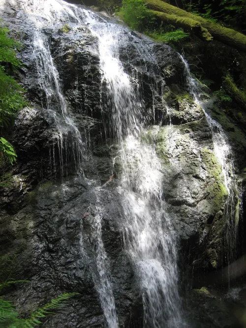 Photo 79 from Flickr, Jul 2006