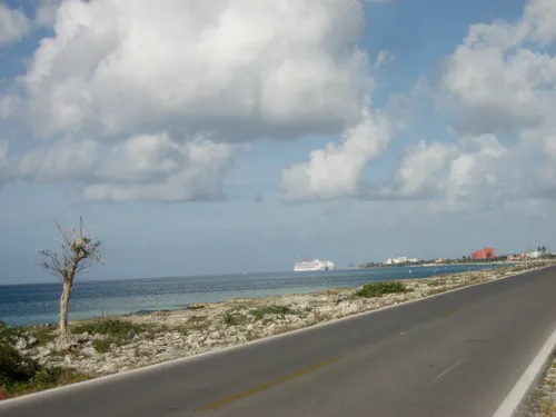 Photo 43 from Playa, Dec–Jan 2009