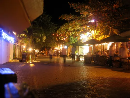 Photo 95 from Playa, Dec–Jan 2009