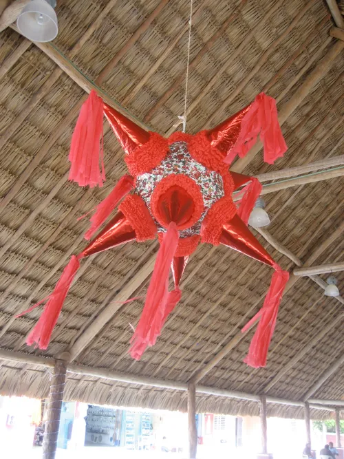 Photo 73 from Playa, Dec–Jan 2009