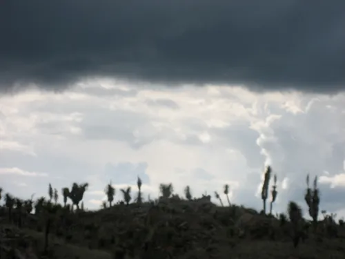 Photo 94 from Teotihuacan, Aug 2008