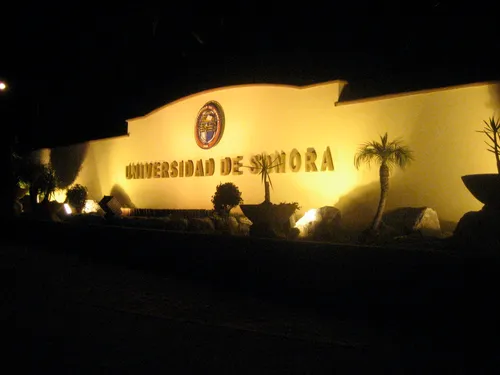 Photo 34 from University Sonora Davids, Jul 2008