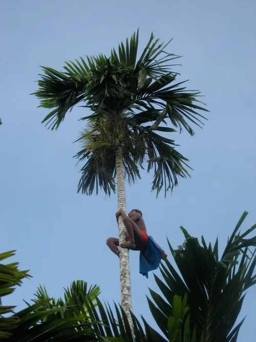 Photo 190 from Yap Village, Aug–Sep 2008