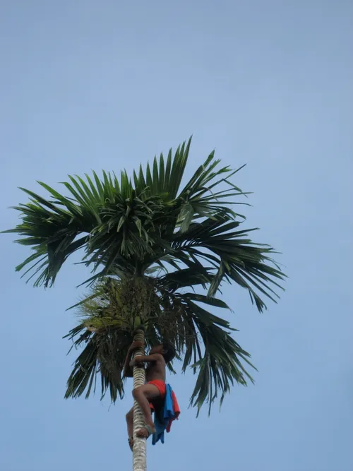 Photo 191 from Yap Village, Aug–Sep 2008