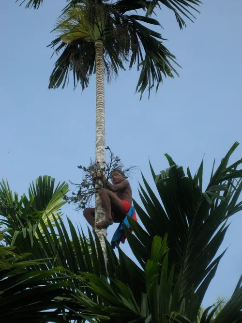 Photo 193 from Yap Village, Aug–Sep 2008