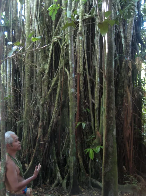 Photo 202 from Yap Village, Aug–Sep 2008