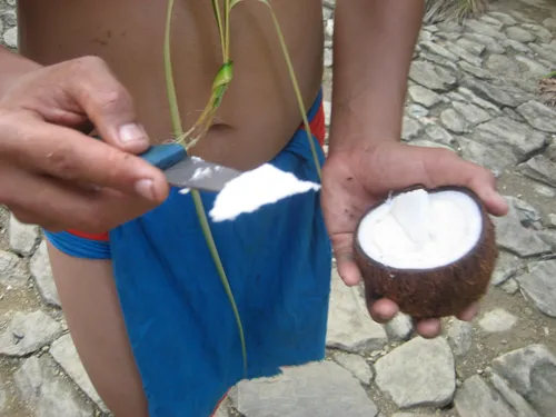 Photo 210 from Yap Village, Aug–Sep 2008