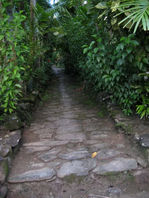 Photo 236 from Yap Village, Aug–Sep 2008