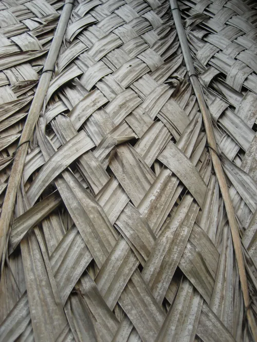 Photo 238 from Yap Village, Aug–Sep 2008