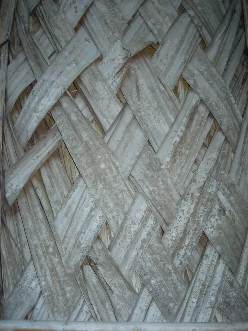 Photo 239 from Yap Village, Aug–Sep 2008