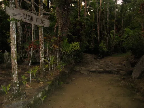 Photo 240 from Yap Village, Aug–Sep 2008