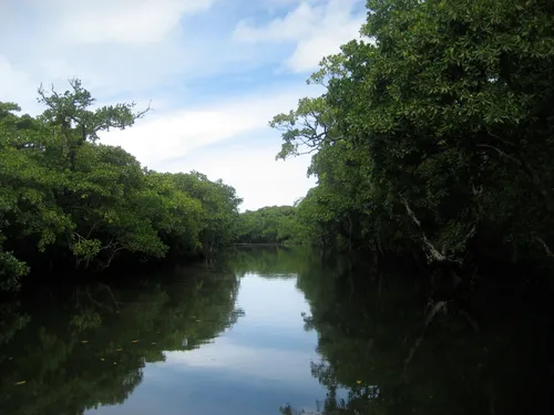 Photo 154 from Yap Village, Aug–Sep 2008