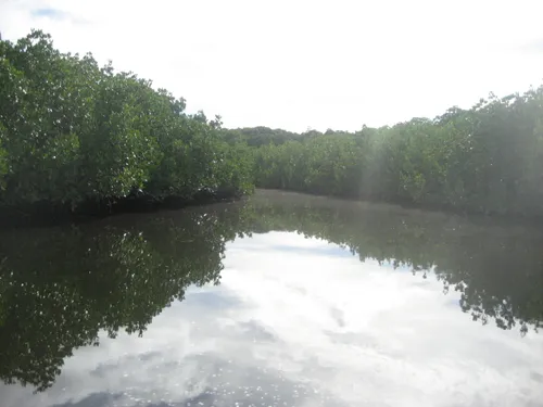 Photo 158 from Yap Village, Aug–Sep 2008