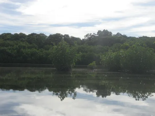 Photo 159 from Yap Village, Aug–Sep 2008