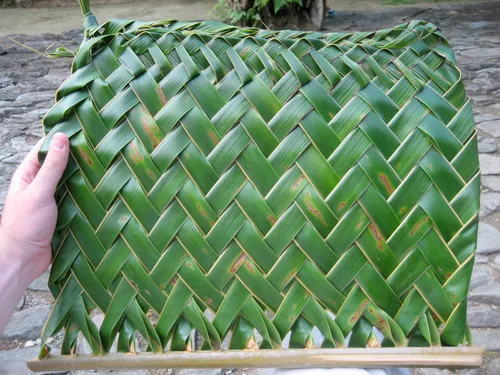 Photo 250 from Yap Village, Aug–Sep 2008