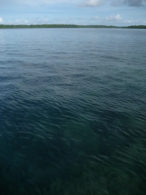 Photo 160 from Yap Village, Aug–Sep 2008