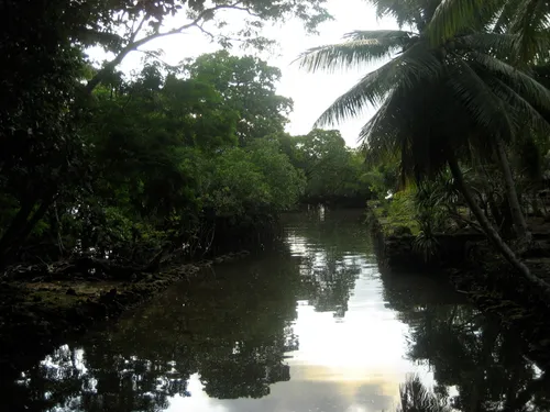 Photo 299 from Yap Village, Aug–Sep 2008