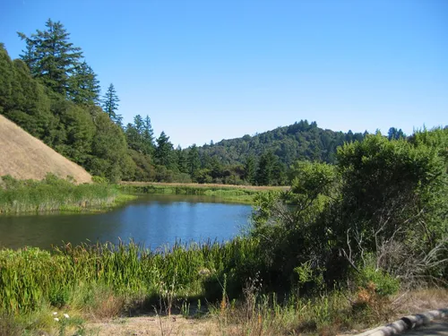 Photo 3 from Zen Bench Pond, Jul 2004