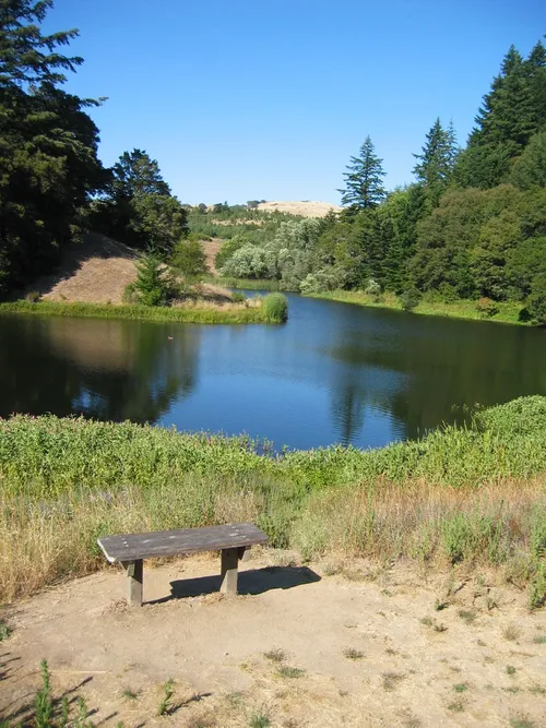 Photo 5 from Zen Bench Pond, Jul 2004
