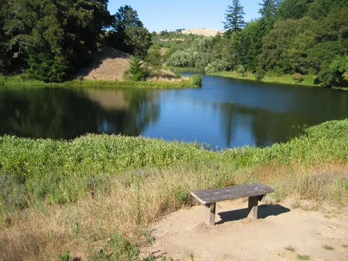 Photo 6 from Zen Bench Pond, Jul 2004