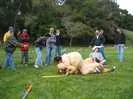 Archival fragment 8 from Fun Day, 2003