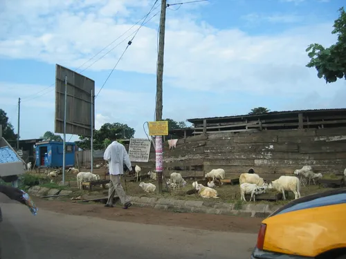 Photo 24 from Ghana, 2004