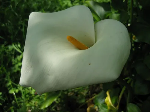 Photo 4 from The Gulch, 2005