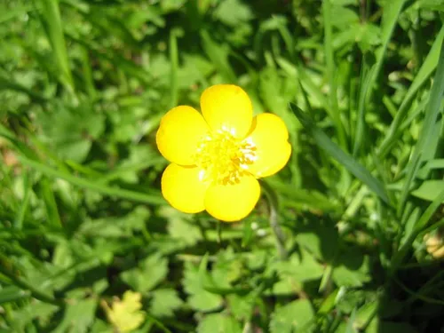Photo 5 from The Gulch, 2005