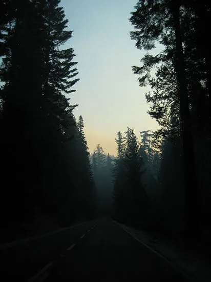 Photo 40 from Half Dome, 2003