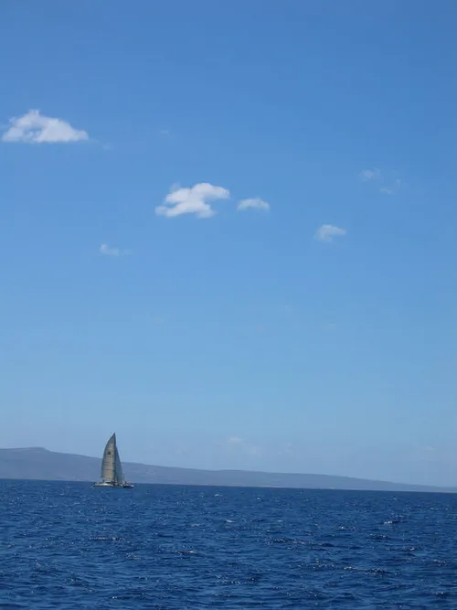 Photo 84 from Maui, 2003
