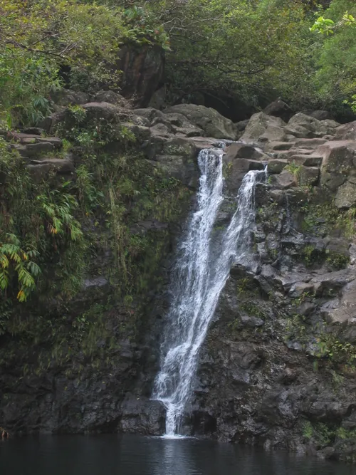 Photo 92 from Maui, 2003